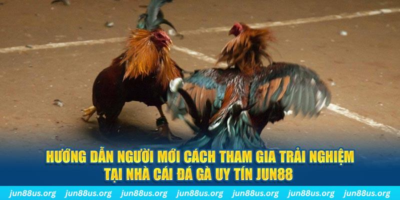 w88 link 168G Điện Tử