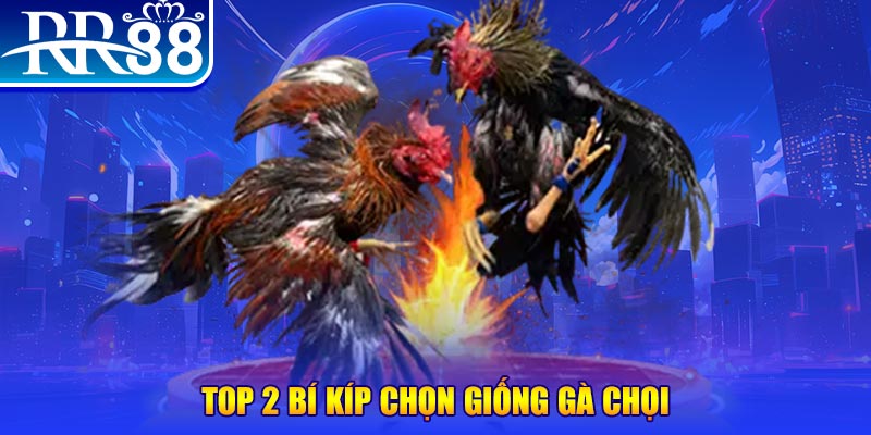 w88 link đá gà hôm nay