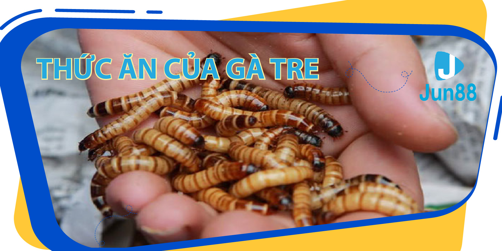 w88 link đăng nhập roulette trực tiếp