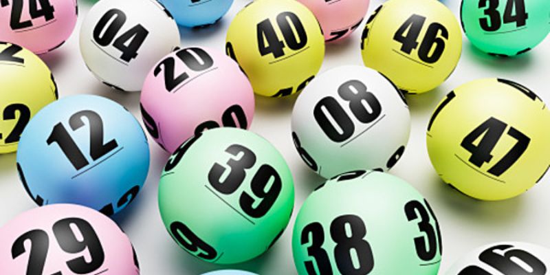 w88 link đá gà trực tiếp thomo hôm nay
