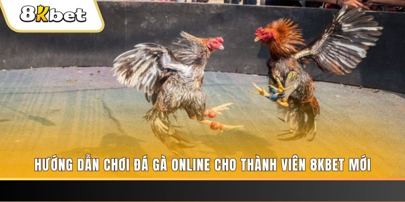 w88 link đăng nhập roulette khuyến mãi