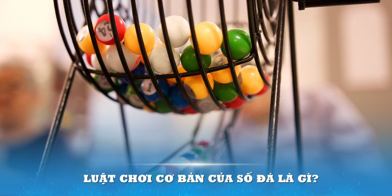 w88 link đăng nhập tiến lên miền nam hôm nay