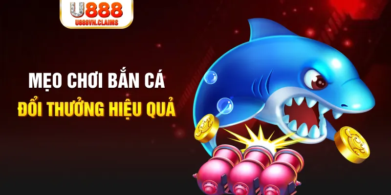 w88 link bắn cá hải vương