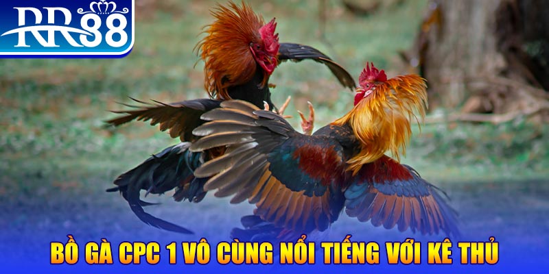 w88 link hết slot la gì