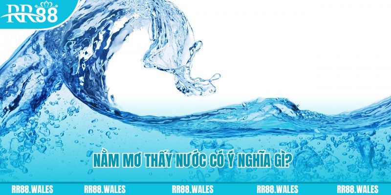 w88 link 78 vảy gà tốt nên chọi