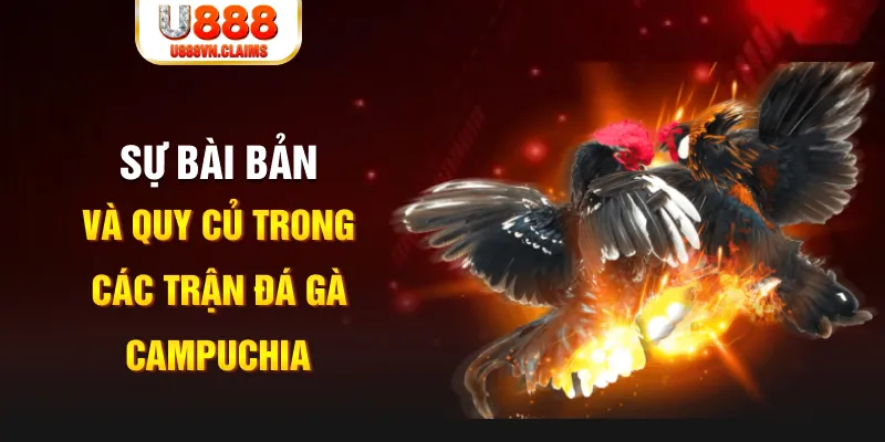 w88 link xổ số miền bắc thứ bảy
