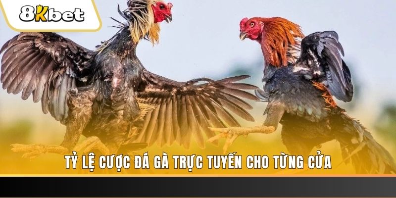 w88 link đá gà trực tiếp c1