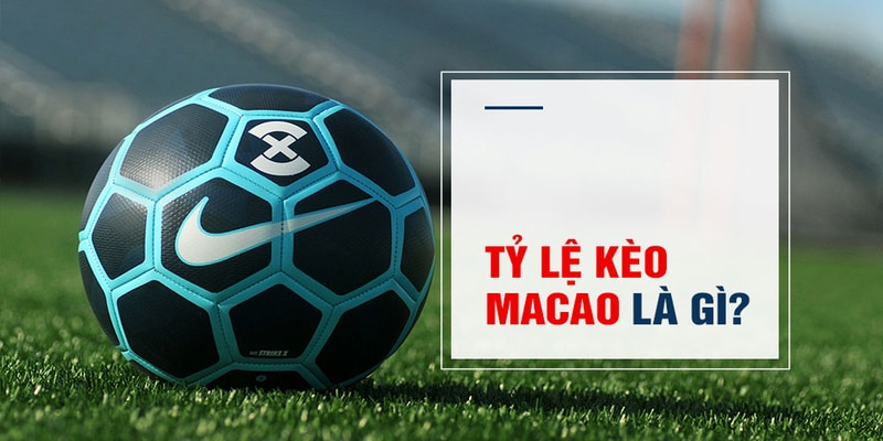 w88 link máy slot