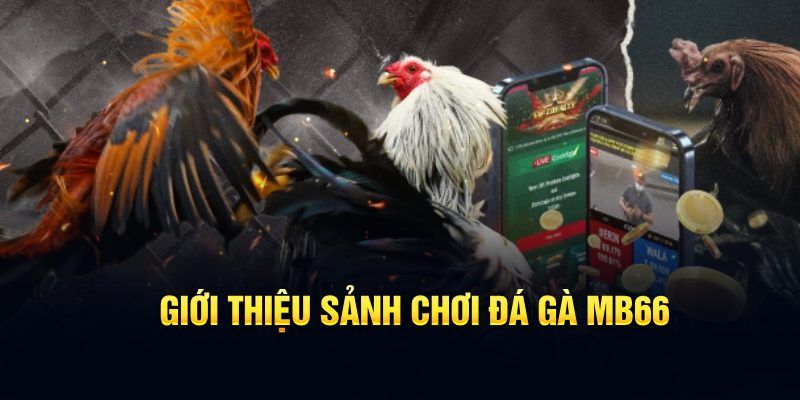 w88 link nhạc slot là gì