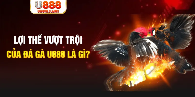 w88 link đăng nhập lô đề trực tuyến
